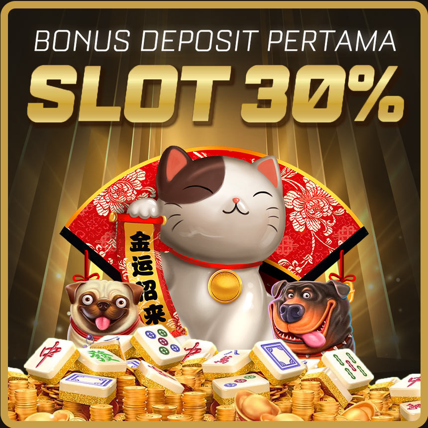 3DHOKI | Situs Slot Gacor Viral Hari Ini image 1
